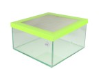 Terrarium dla mrówek 20×20×10 cm – arena szklana z pokrywą z siatki