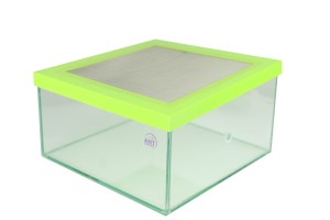 Terrarium dla mrówek 20×20×10 cm – arena szklana z pokrywą z siatki
