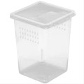 Insect Box - plastikowe terrarium 9x9x11cm