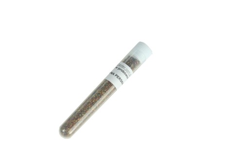 Nasiona w probówce- Koniczyna perska- 10 ml
