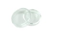 Szalka Petriego szklana średnica 40 mm / wys. 12 mm do hodowli mrówek