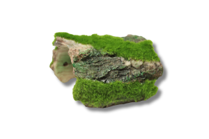 Ozdoba do terrarium nr 51- kryjówka 