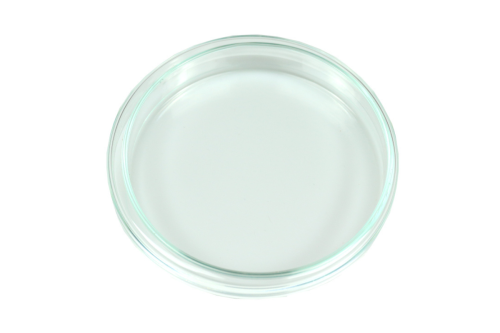 Szalka Petriego szklana średnica 100 mm/ wys.15 mm do obserwacji mrówek