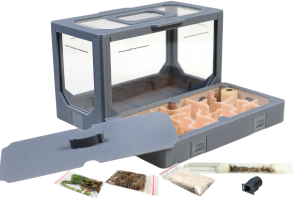 Formikarium AntLove – modułowy zestaw 2 z mrówkami 