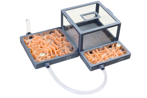 Formikarium modułowe AntLove – zestaw nr 7 do hodowli mrówek