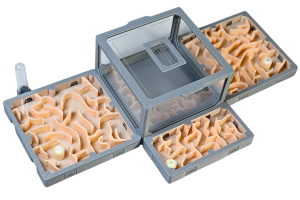 Formikarium modułowe AntLove – zestaw nr 9 do hodowli mrówek