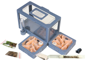 Formikarium modułowe AntLove – zestaw nr 6 z mrówkami do hodowli mrówek