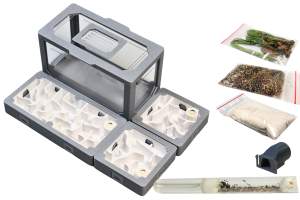 Formikarium modułowe AntLove – zestaw nr 11 z mrówkami do hodowli mrówek