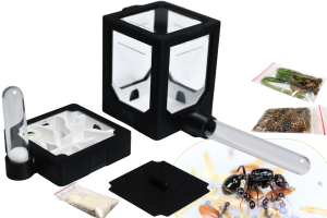 Formikarium BlackAnt 1 – zestaw do hodowli Messor barbarus z mrówkami