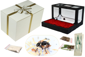 Zestaw Prezentowy BlackAnt nr 2 z mrówkami 