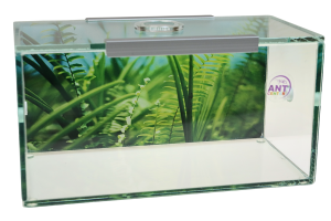 Terrarium dla mrówek – arena szklana Dream 20×10