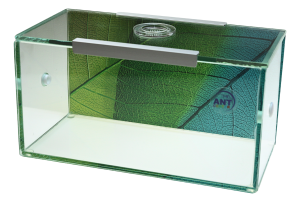 Terrarium dla mrówek – arena szklana Garden 20×10×10 cm