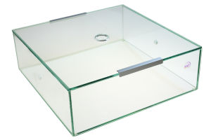Terrarium dla mrówek – arena szklana 30×30×10 cm