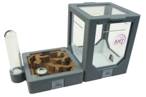 Formikarium AntLove Korkowe – modułowe zestaw nr 1 do hodowli mrówek