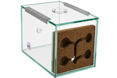 Formikarium korkowe Dream