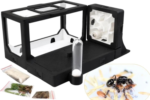 Zestaw z mrówkami BlackAnt nr 15 od AntCenter