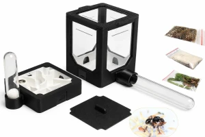 Formikarium BlackAnt 1 – zestaw do hodowli Messor barbarus z mrówkami