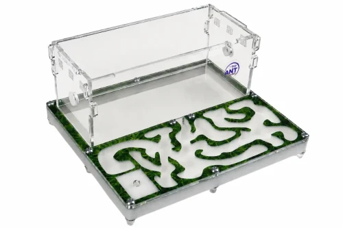 Formikarium Green House z motywem mchu do hodowli mrówek w domu