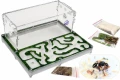 Formikarium Green House z mrówkami i wyposażeniem