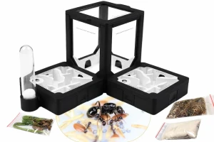 Formikarium BlackAnt 5 – zestaw do hodowli Messor barbarus z mrówkami