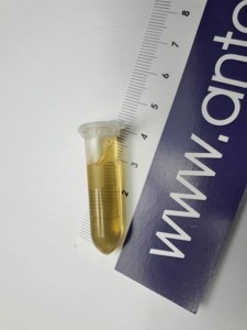 Miód 1,5 ml