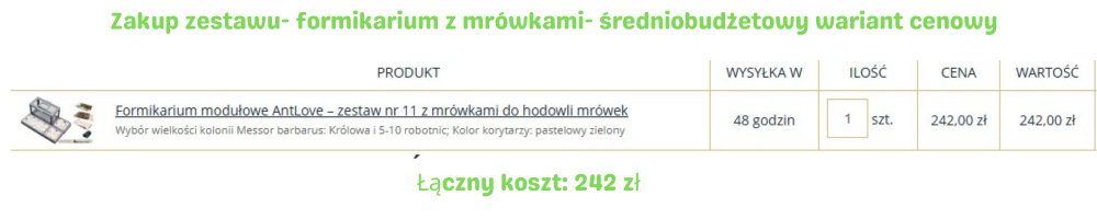 Koszt hodowli mrówek – standardowy zestaw modułowy – 242 zł