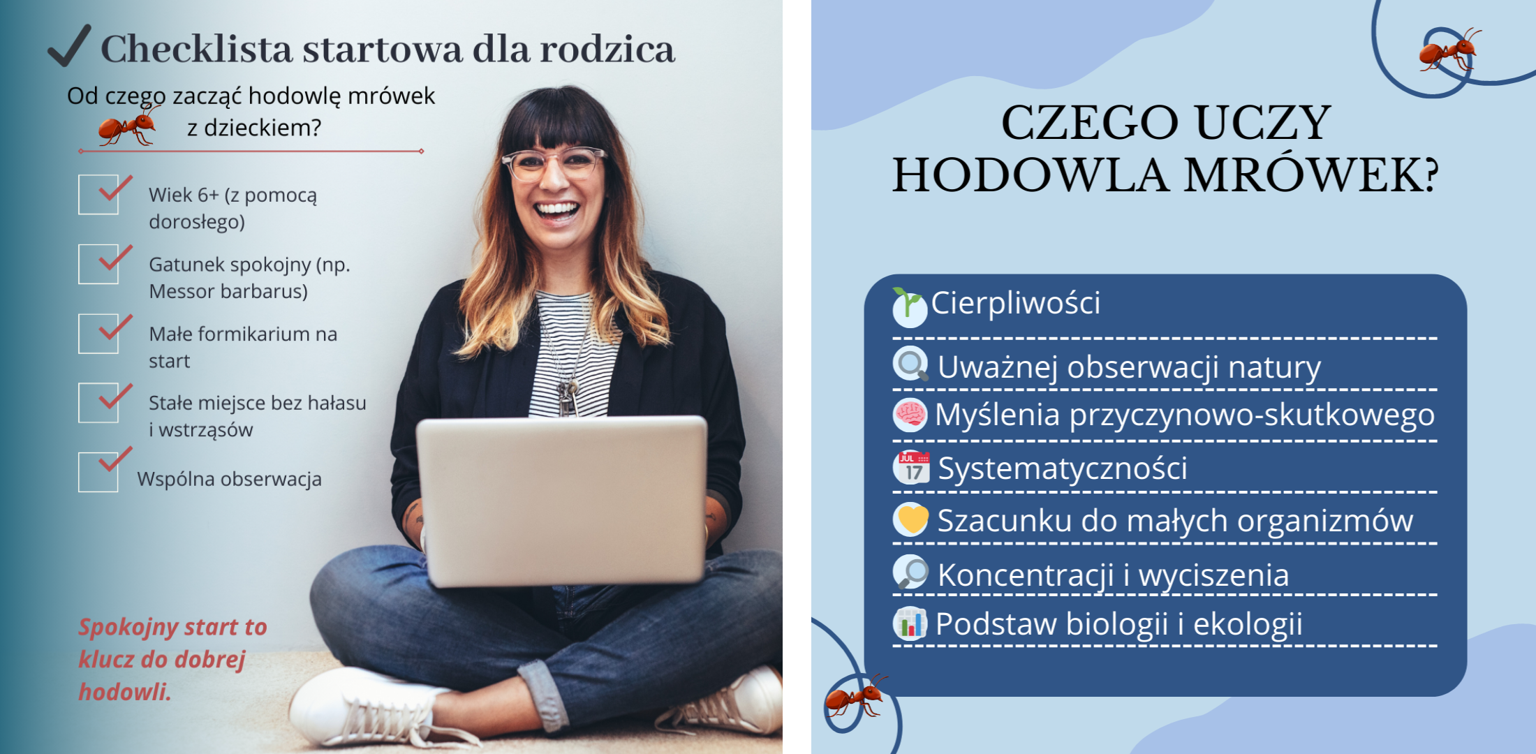 Mrówki dla dzieci – checklistа startowa i czego uczy hodowla mrówek