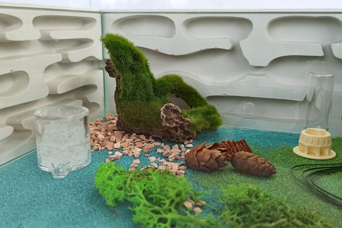 Formikarium Amfiteatr