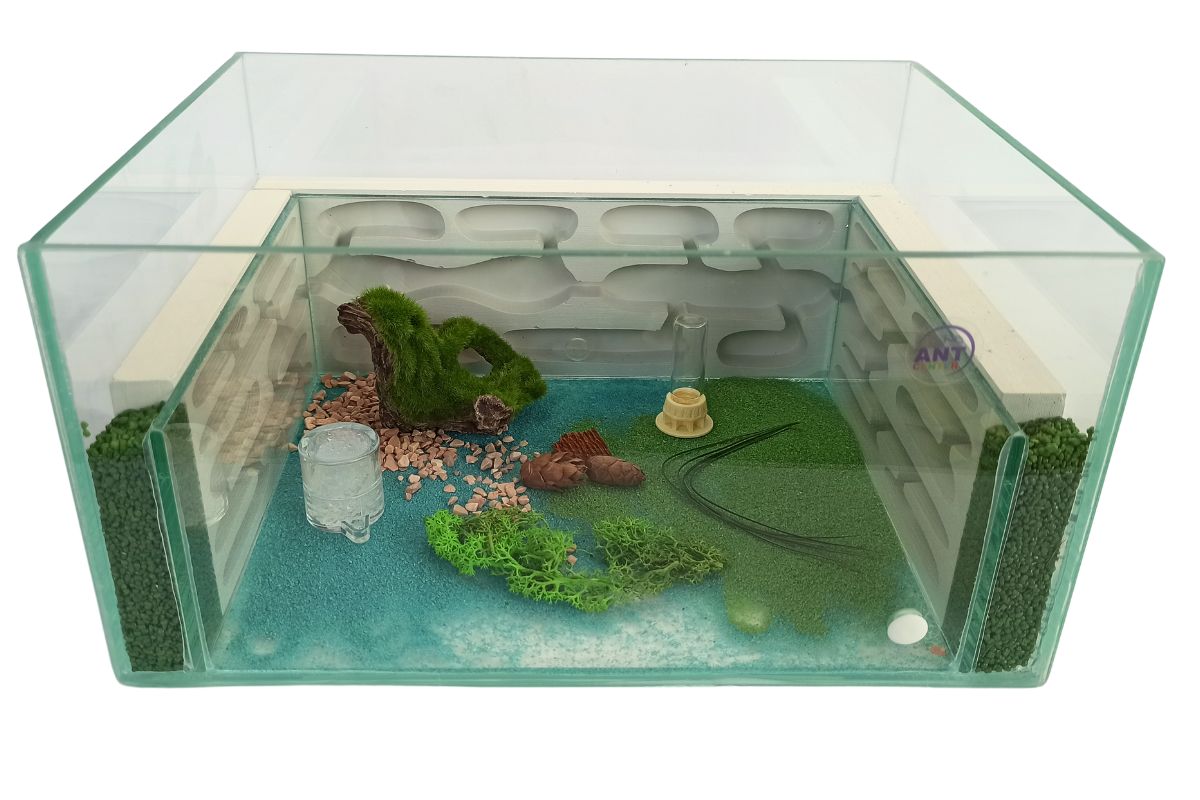 Formikarium Amfiteatr