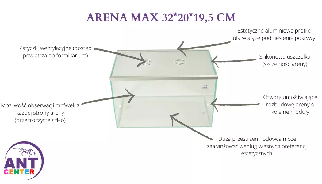 Arena Max dla dużych kolonii mrówek od Antcenter