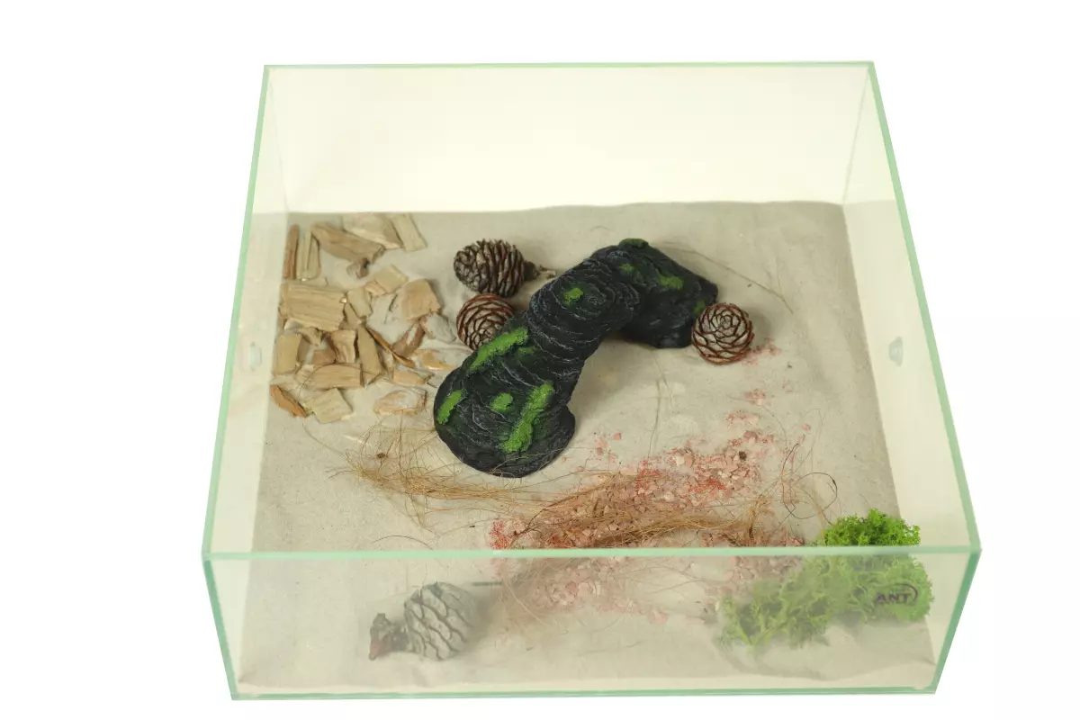 Ozdoba do terrarium dla mrówek