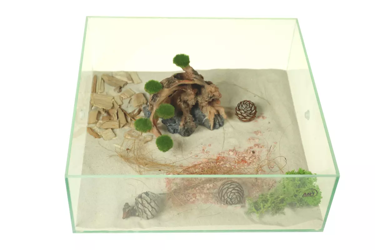 Ozdoba do terrarium dla mrówek