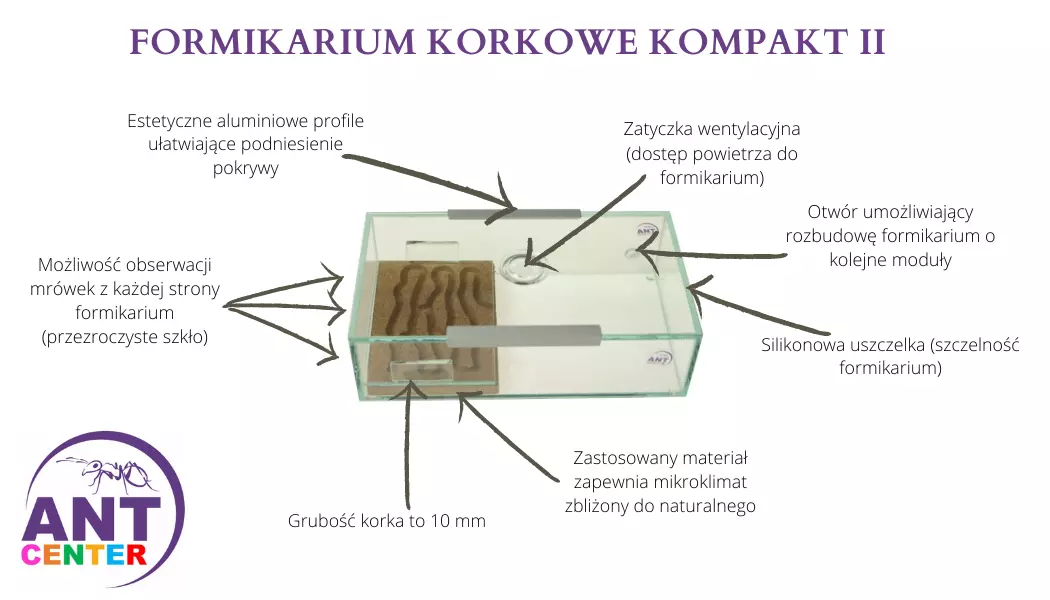 Farma dla mrówek Kompakt