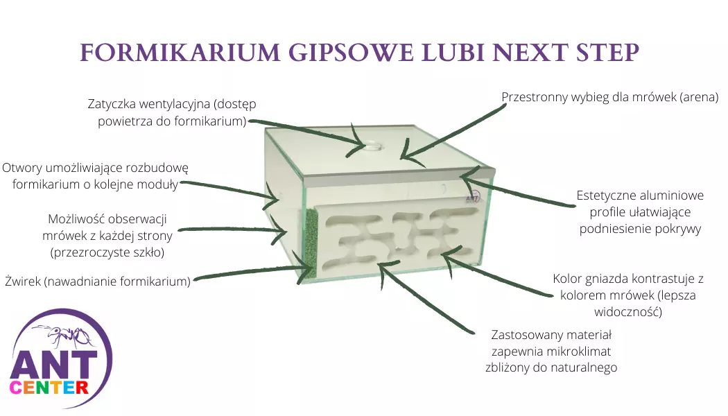 Formikarium Lubi Next Step na mrówki