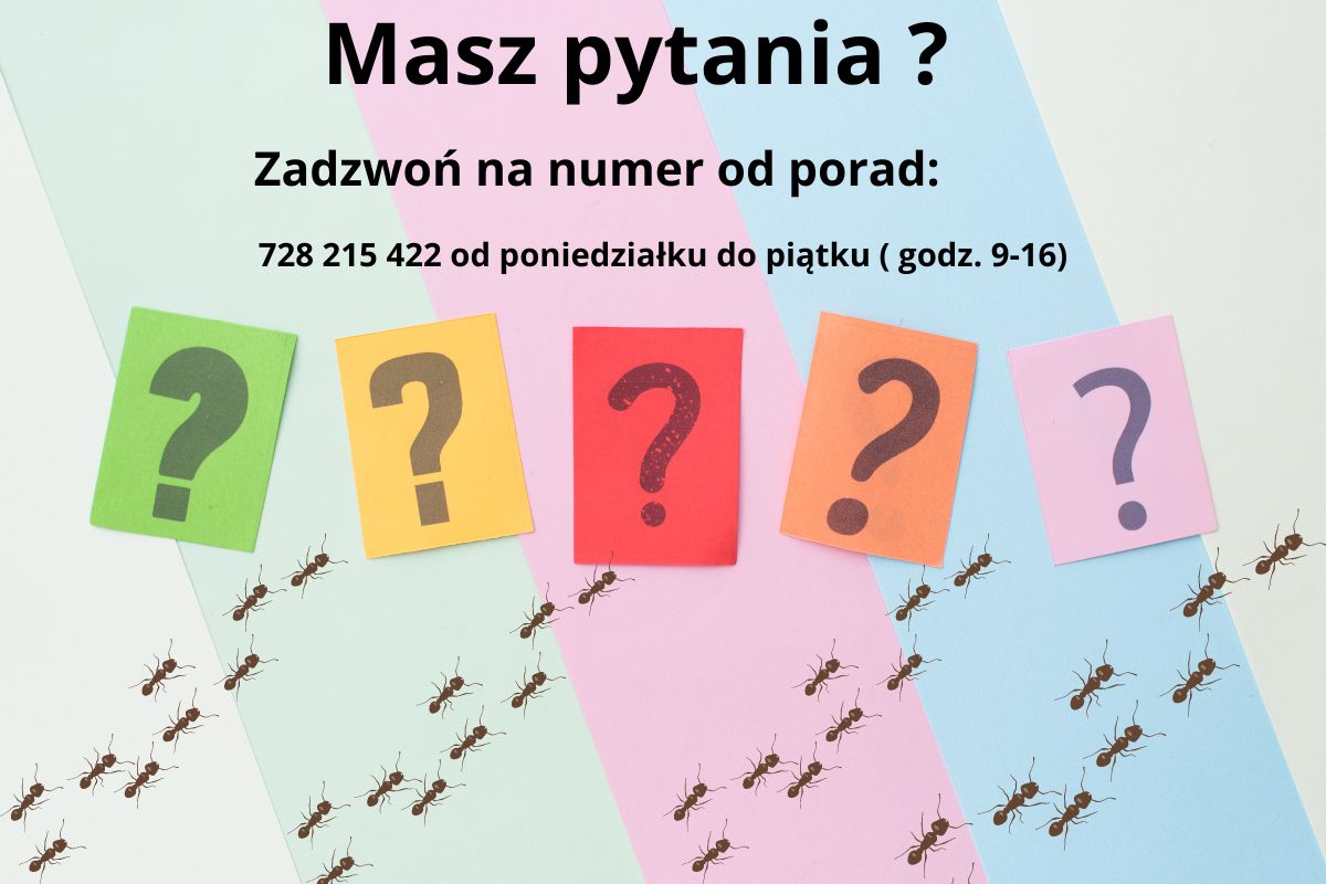 antcenter-telefon-w-sprawie-porad