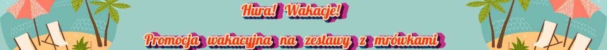 Wiosenna promocja na zestawy