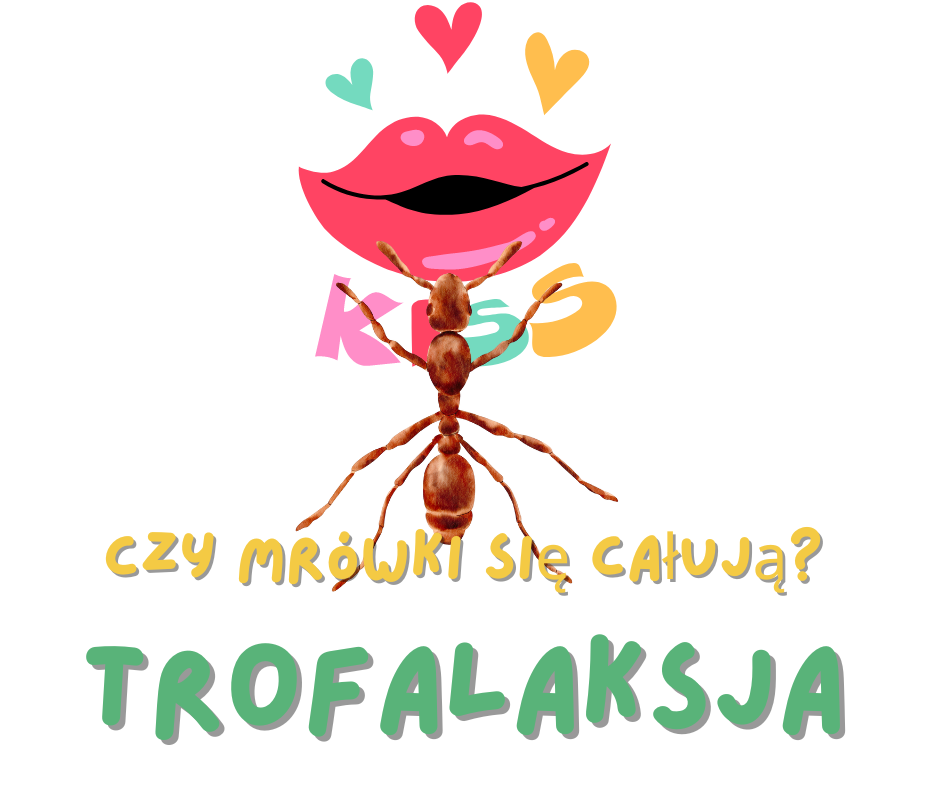 trofalaksja-wsrod-mrowek.jpg
