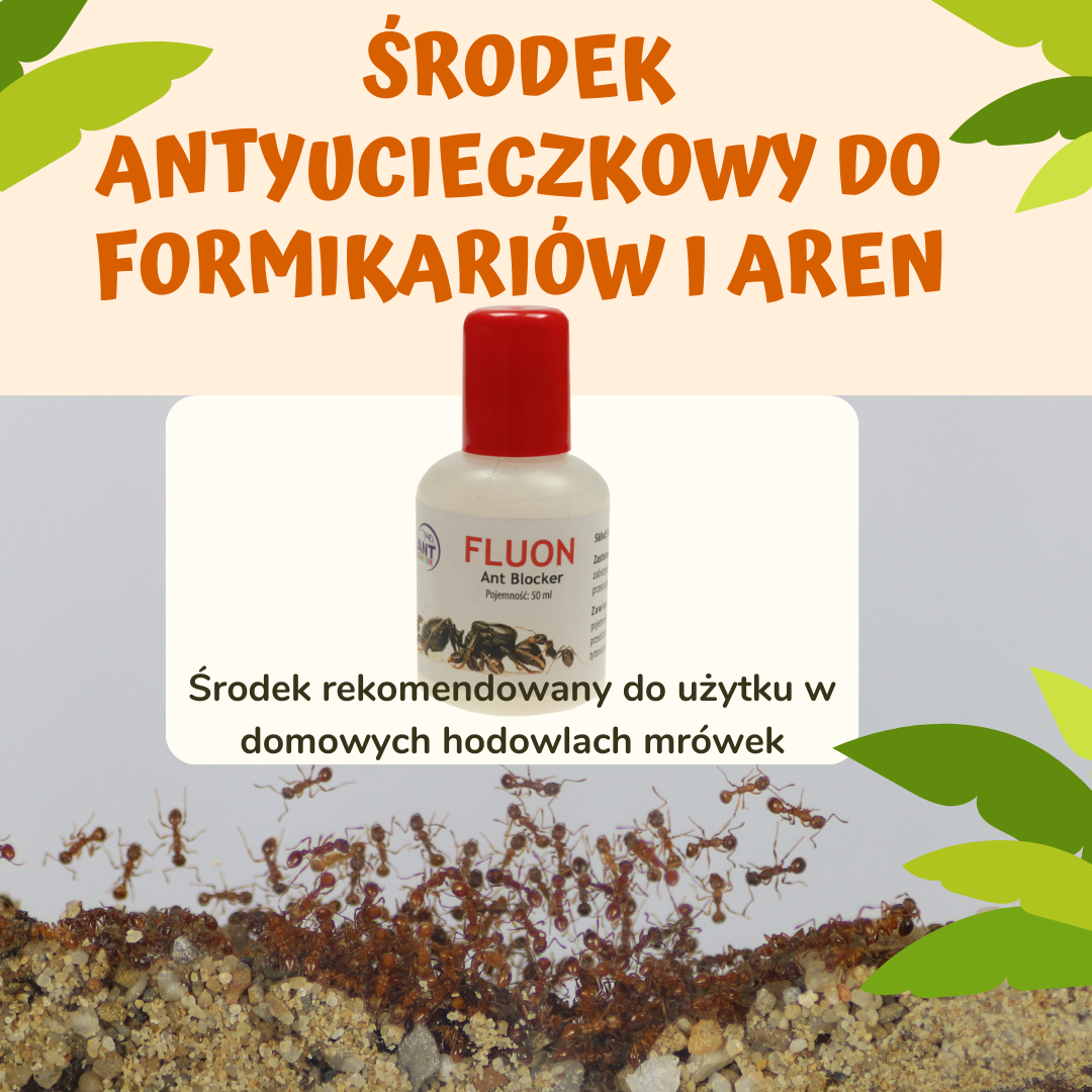 fluon-srodek-od-antcenter-do-ochrony-mrowek-przed-ucieczka-z-formikarium