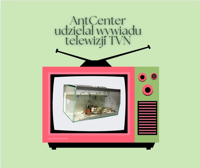 Rozmowy o mrówkach w telewizji – AntCenter w TVN