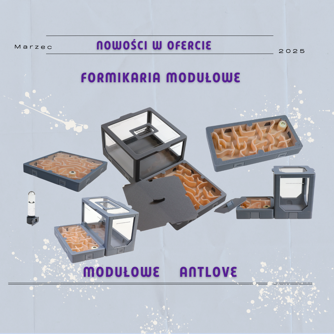 Formikaria modułowe w ofercie AntCenter
