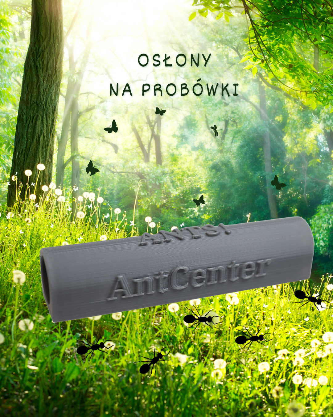 hodowla-malych-kolonii-mrowek-antcenter