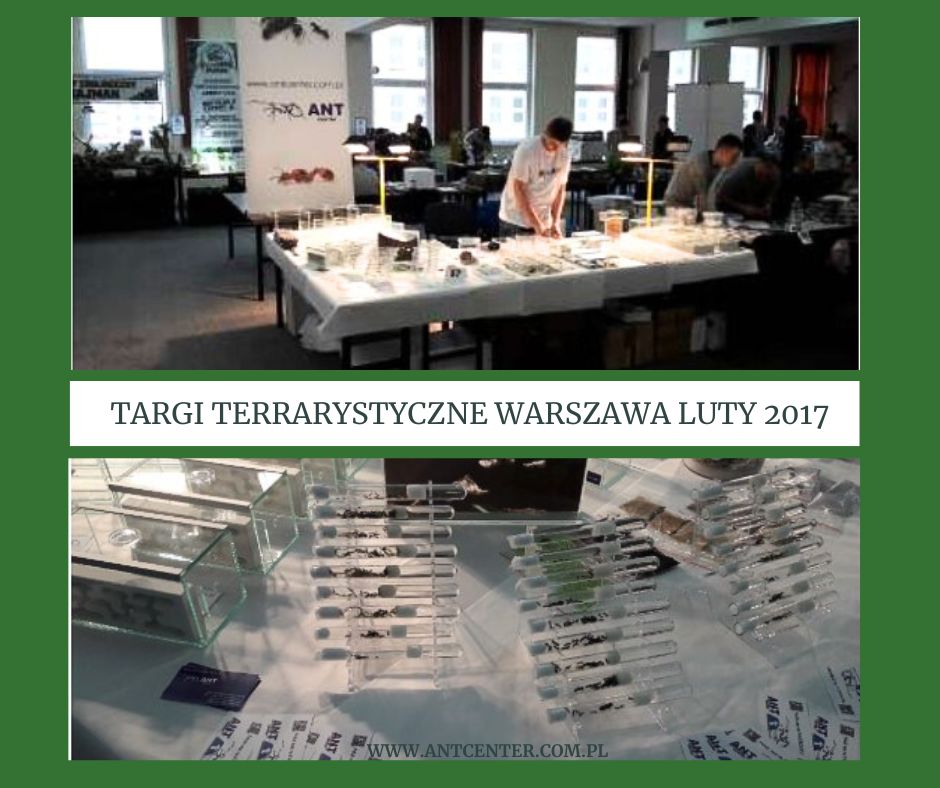 Targi terrarystyczne w Warszawie - luty 2017