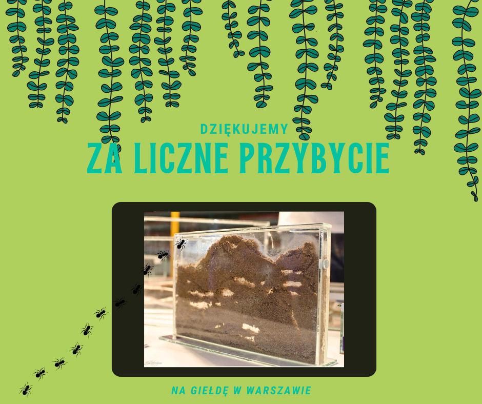 Giełda Terrarystyczna - Warszawa - Kwiecień 2017