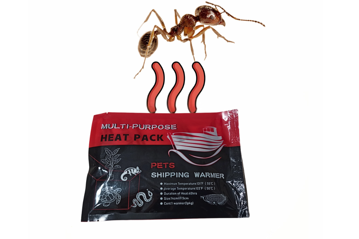 Ogrzewacze na czas transportu Heat Packs dla mrówek i innych owadów