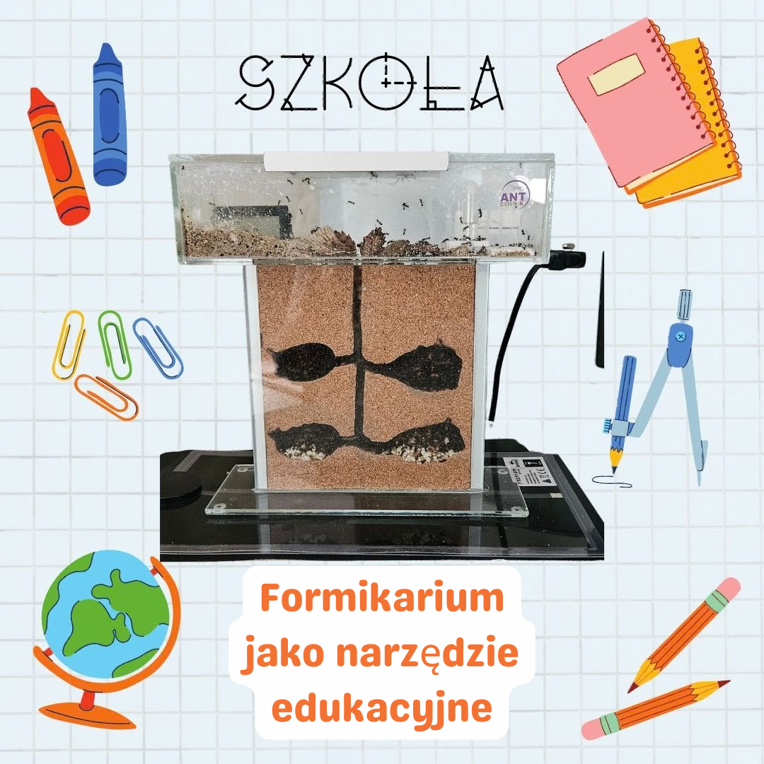 Ekopracownie w szkołach